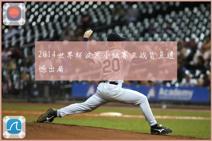 2014世界杯波黑小组赛三战皆负遗憾出局