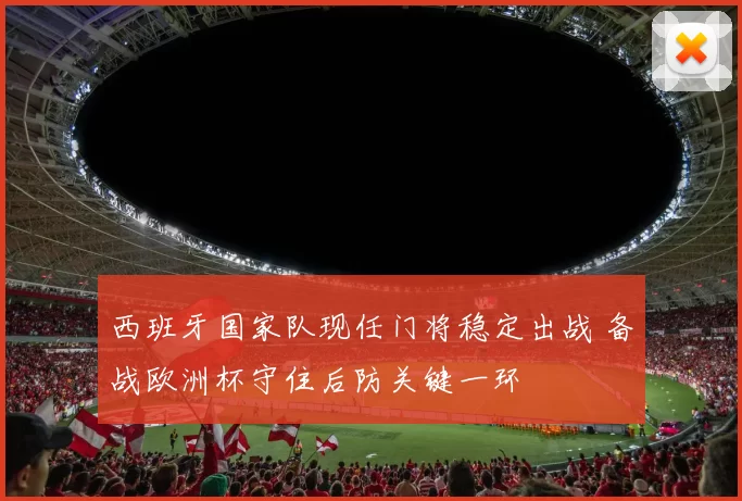 西班牙国家队现任门将稳定出战 备战欧洲杯守住后防关键一环