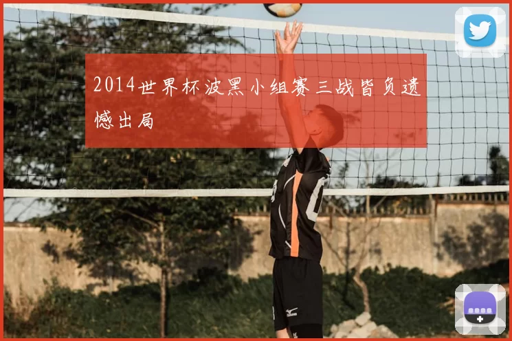 2014世界杯波黑小组赛三战皆负遗憾出局